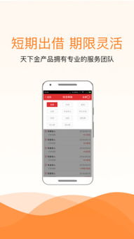 金融中介服务的合法性与风险边界——以线上信贷平台为例